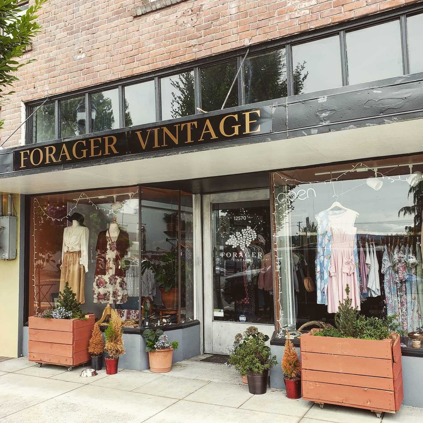 Forager Vintage