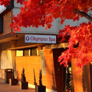 Olympus Spa