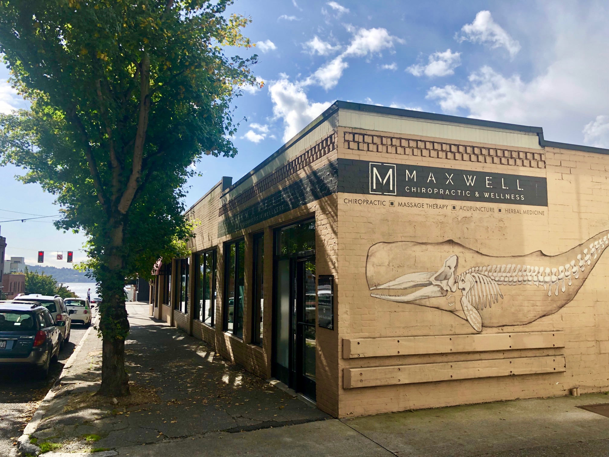 Maxwell Chiropractic & Wellness