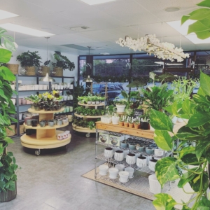 Plant Envy