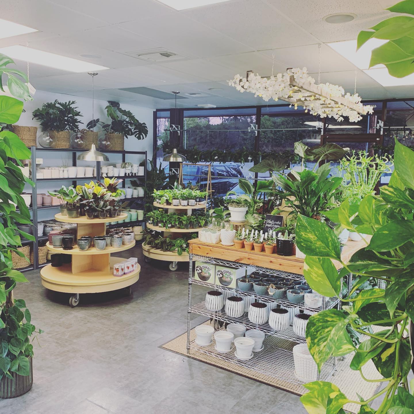 Plant Envy