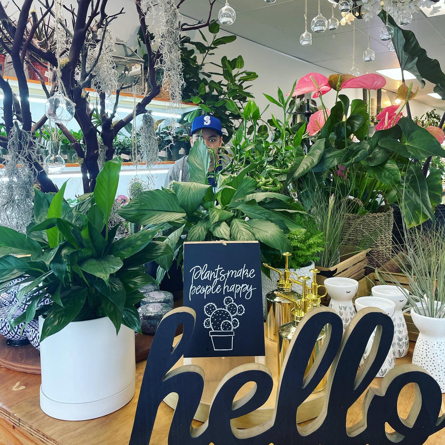 Plant Envy