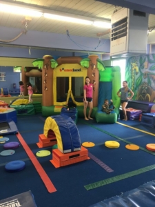 The Jungle Gym