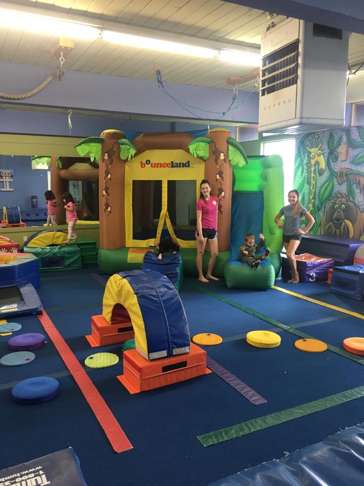 The Jungle Gym
