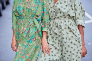Martine's Dream
