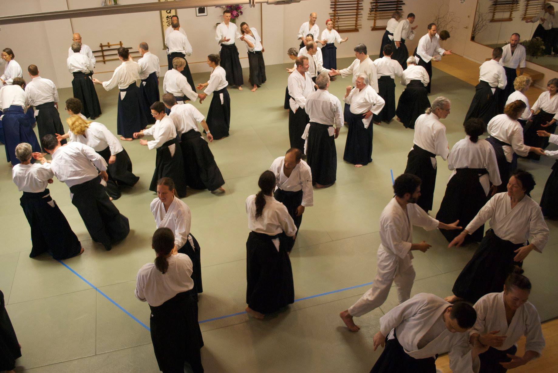 Two Cranes Aikido