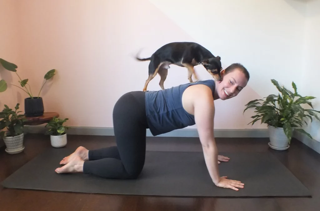 Seed Pilates & Movement Training