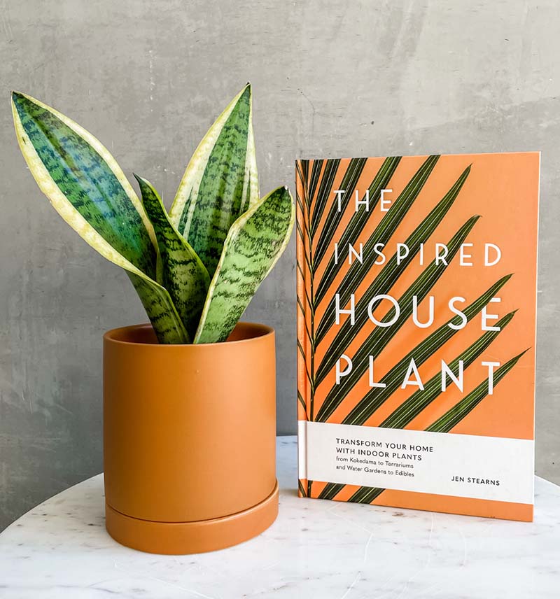 gift guide for your partner