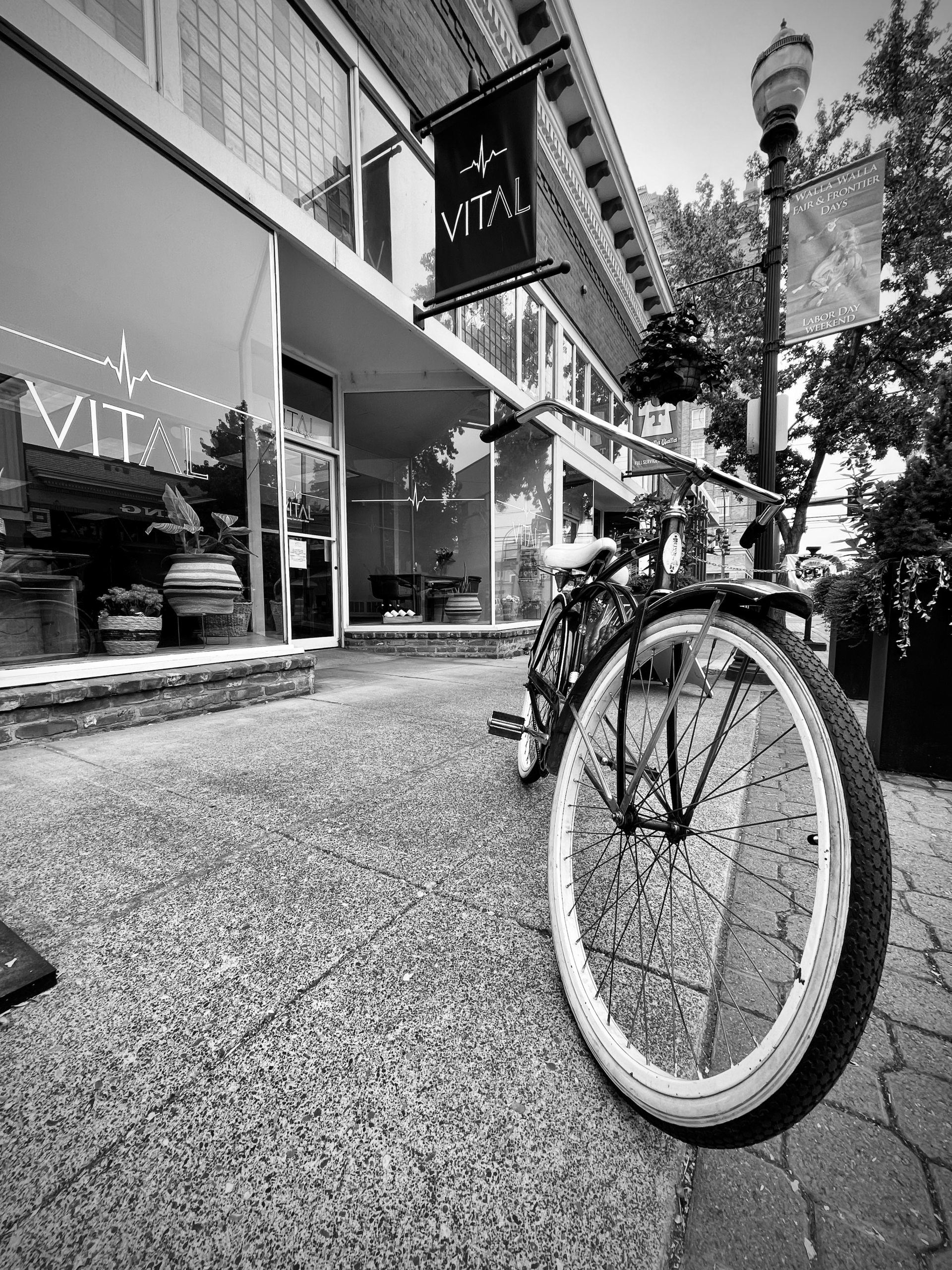 Vital Wines