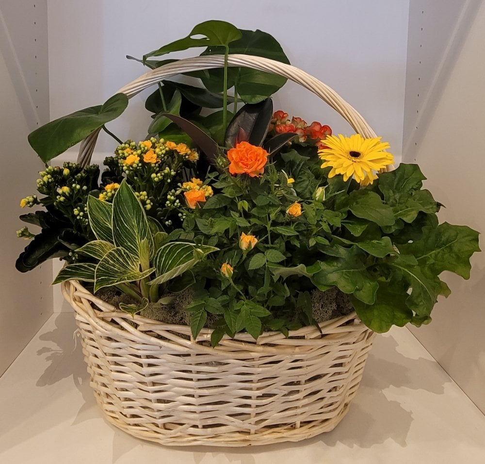 Florentino's Fine Flowers