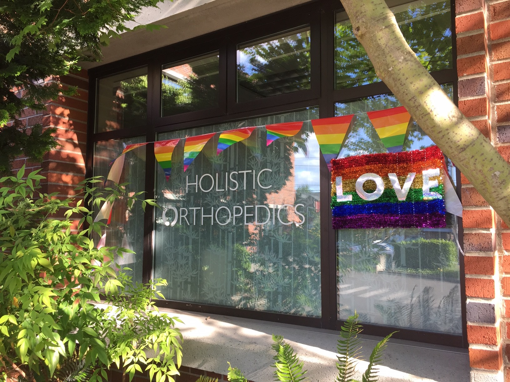 Holistic Orthopedics