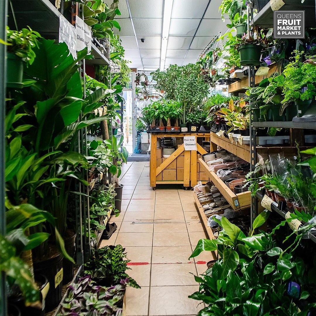 Queens Fruit Market & Plants