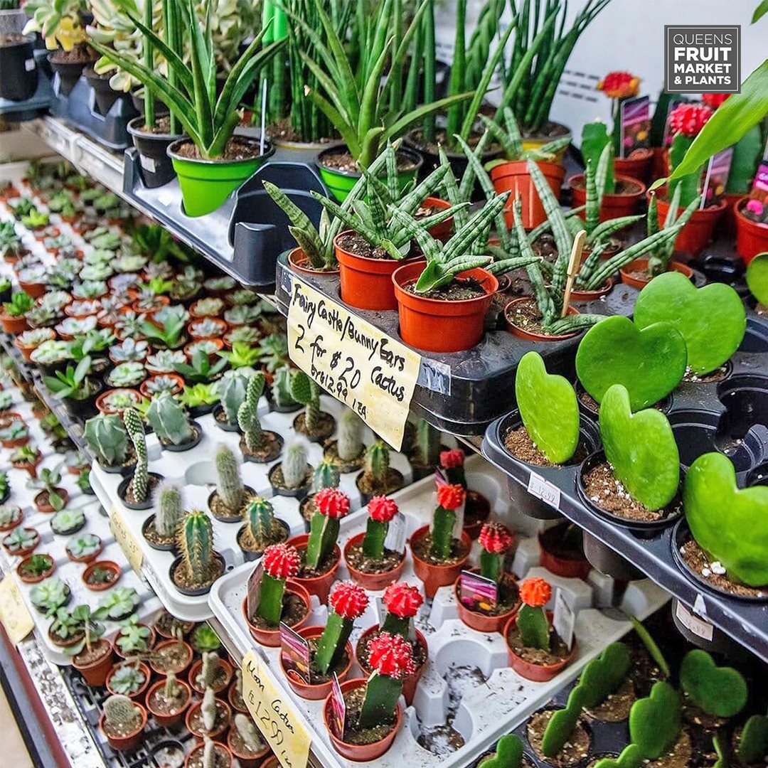 Queens Fruit Market & Plants