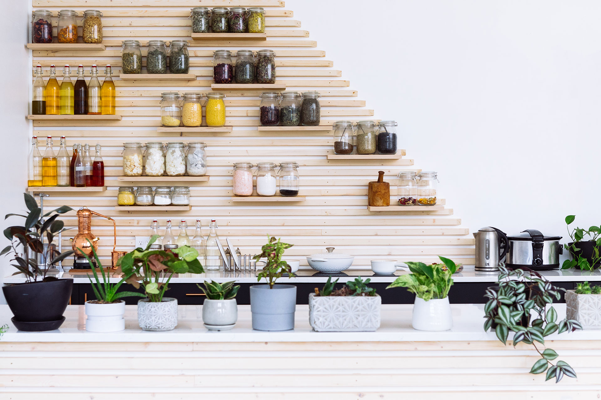 Blendily Botanic Kitchen