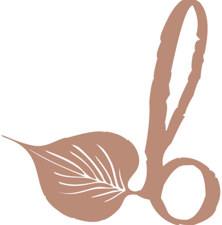 Blendily Botanic Kitchen