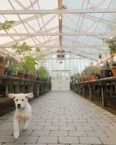 Christianson's Nursery