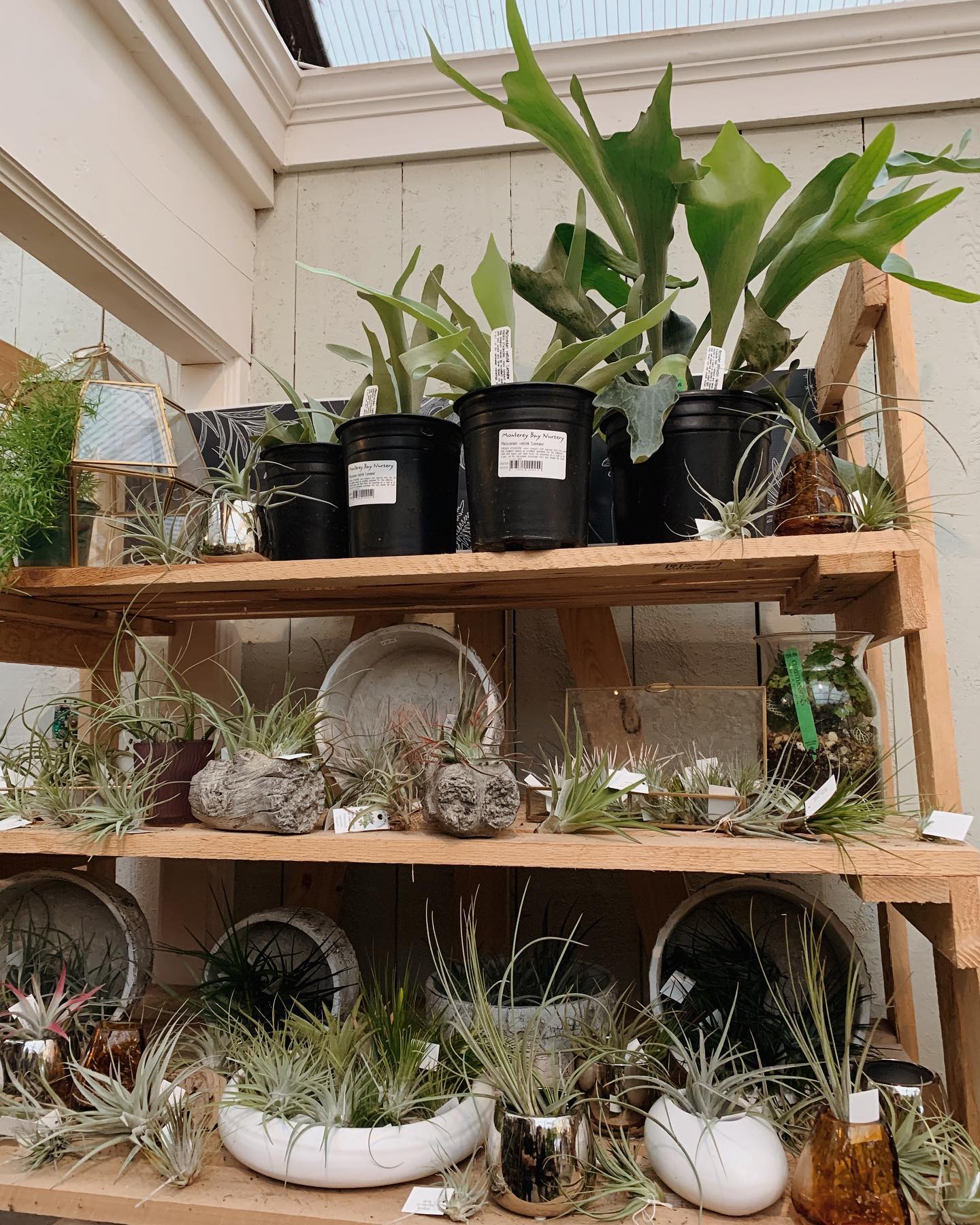 Christianson's Nursery