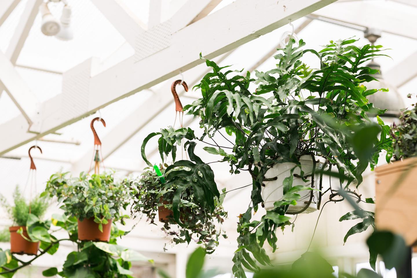 Christianson's Nursery