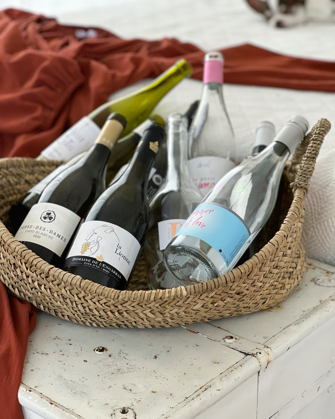 Princess & Bear Wines