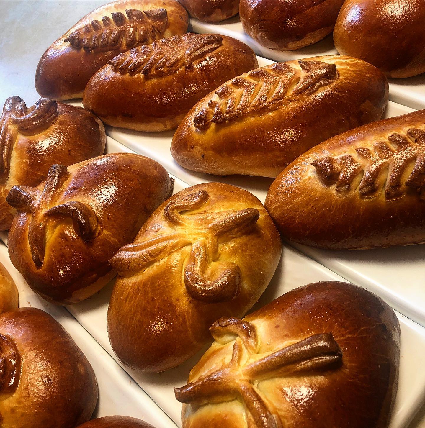 Piroshki on Madison