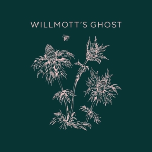 Willmott's Ghost