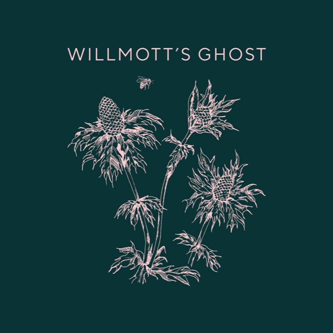 Willmott's Ghost