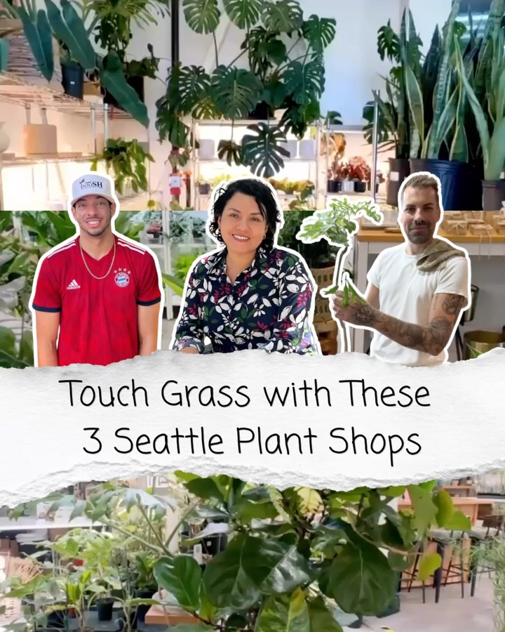 3 shops. 3 neighborhoods. 3 reasons to explore Seattle, shop local, and buy some plants. Your weekend plans just got greener 💚

The stops:
🪴 @boosh.nursery | Central District
🪴 @forgetmenot.seattle | Uptown
🪴 @seattleplantdaddy | Wallingford

🔖 Tag a friend who you want to visit these shops with, or a chronically online friend who needs to touch grass.

#spendlikeitmatters #beintentional #smallbusiness #plantlove