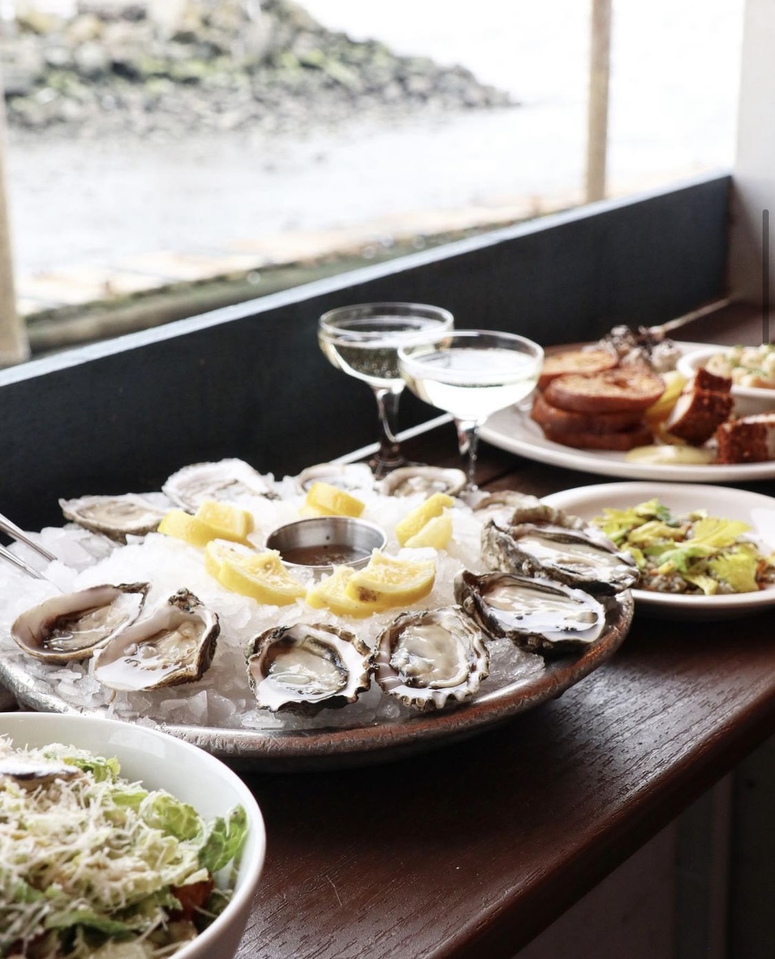 Taylor Shellfish Oyster Bar Queen Anne