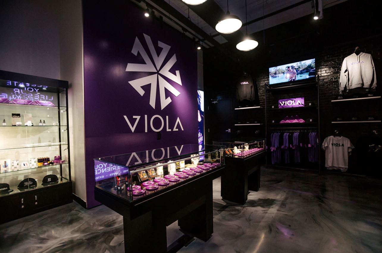 Viola