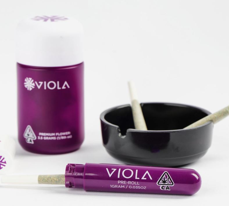 Viola