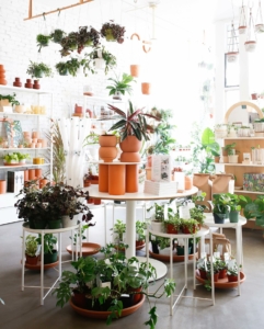 Folia Collective