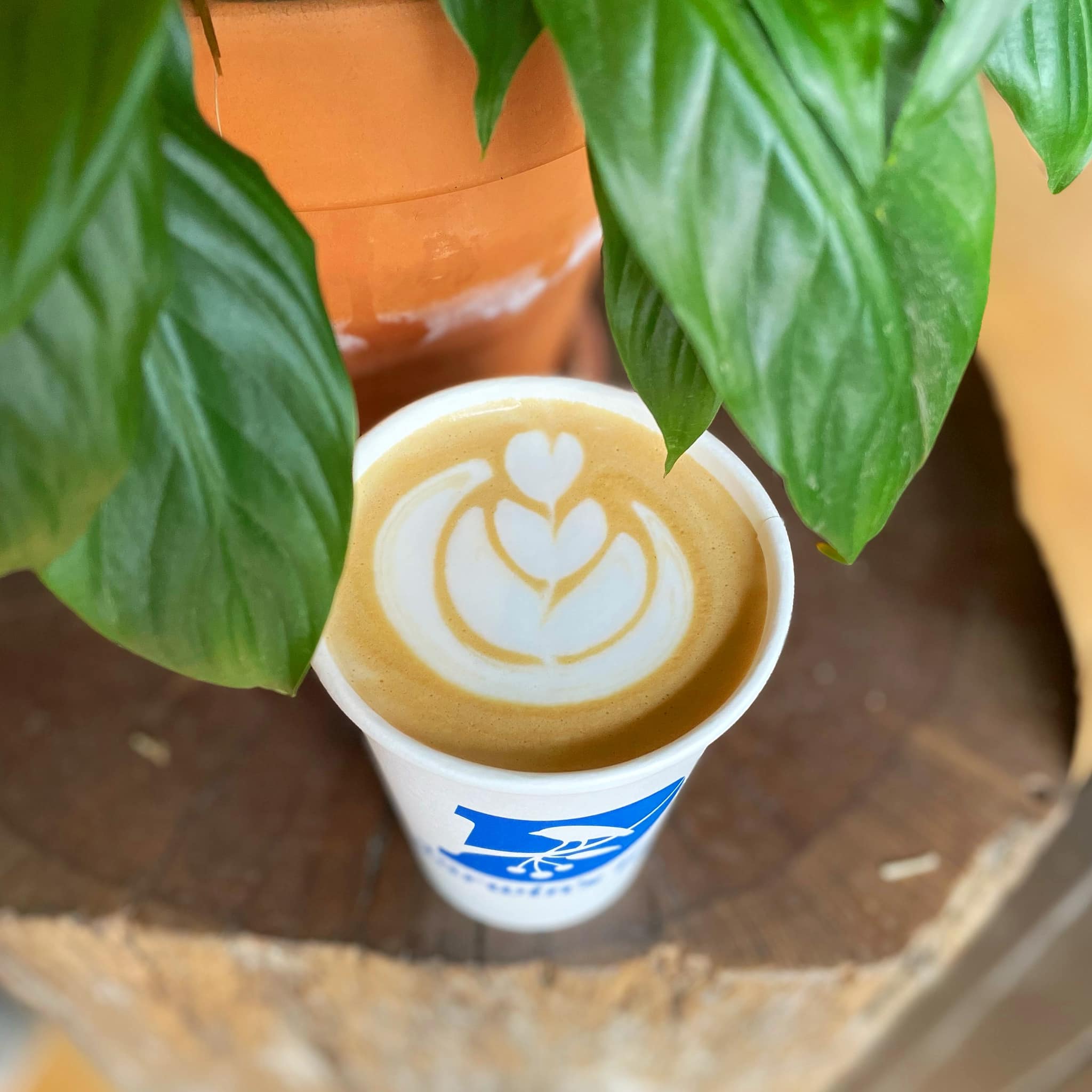 Coffee from Darwin's Ltd.