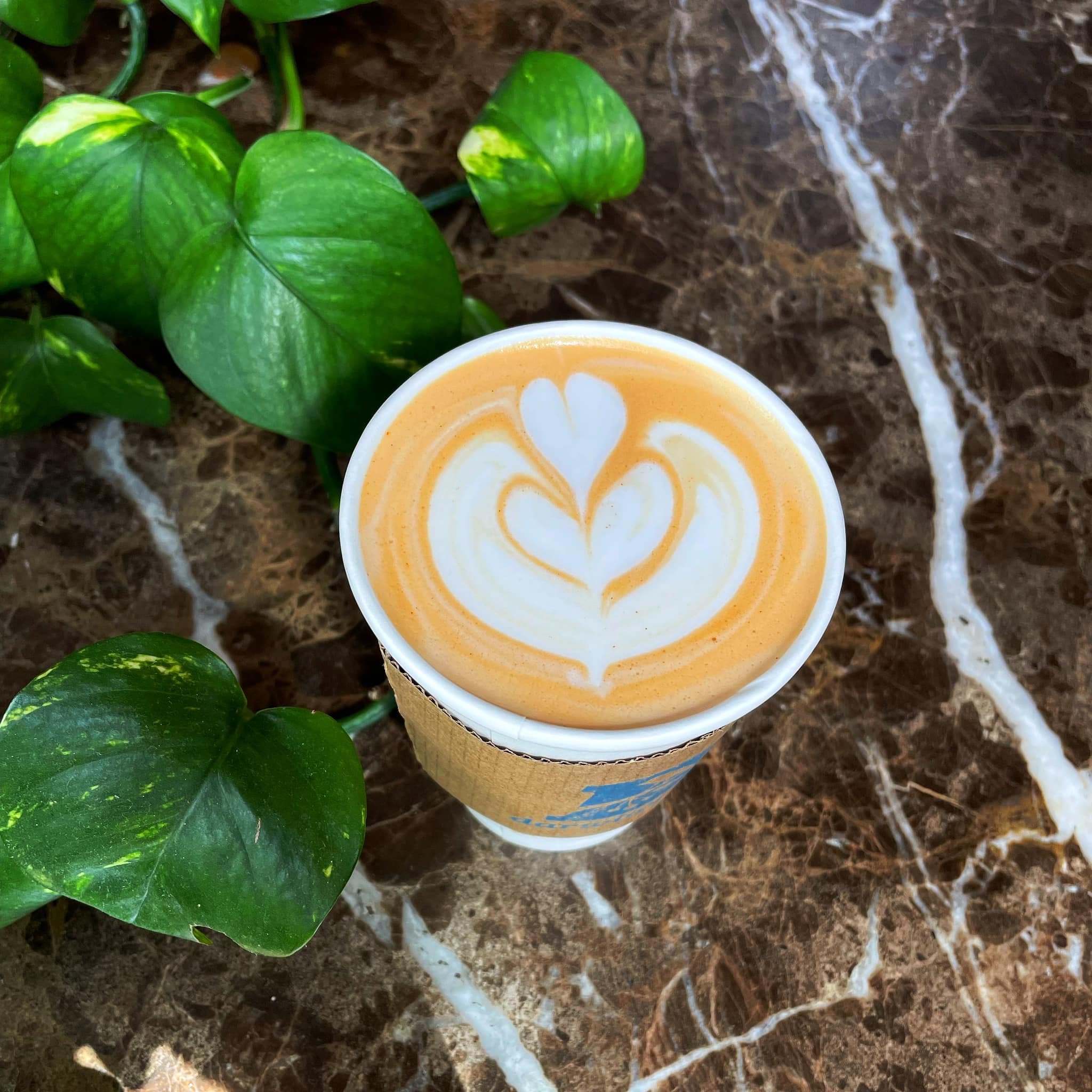 Coffee from Darwin's Ltd.