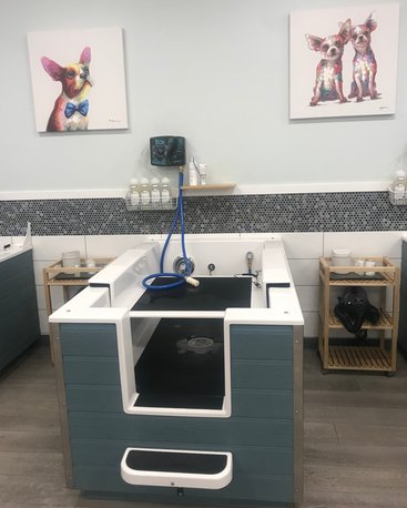 Suds Pet Bathhouse and Spa interior