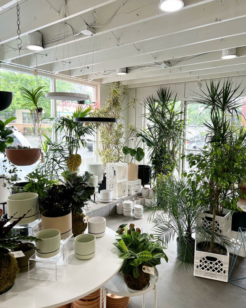 Interior of store with pots on display