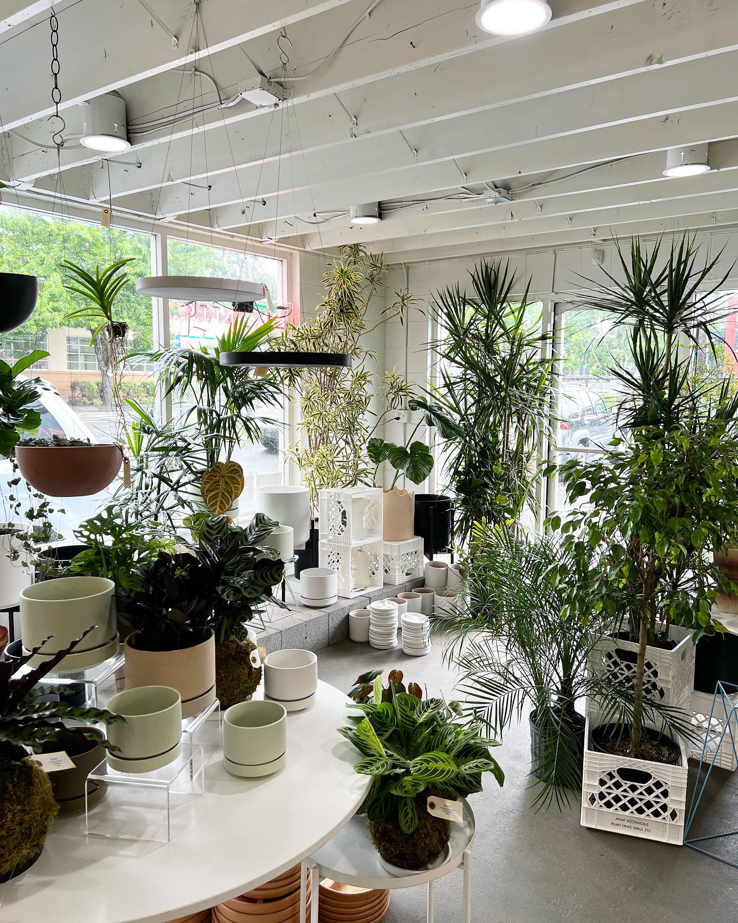Interior of store with pots on display