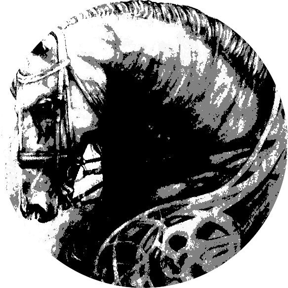 Dark Horse Tattoo's logo