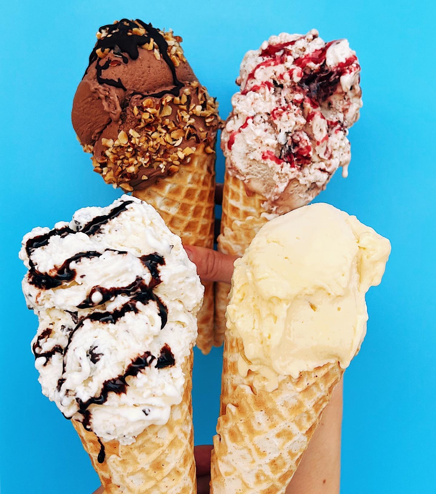 Ice cream cones from Nutty Squirrel Gelato