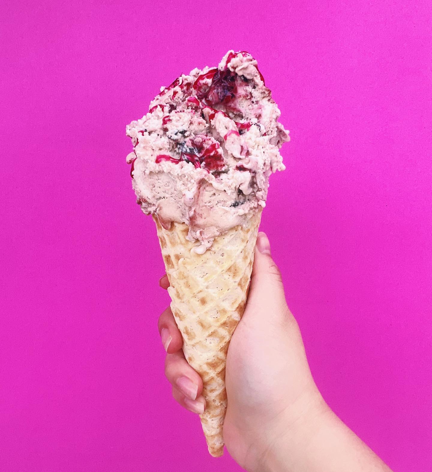 An ice cream cone from Nutty Squirrel Gelato