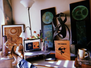Modern Art Cowboy