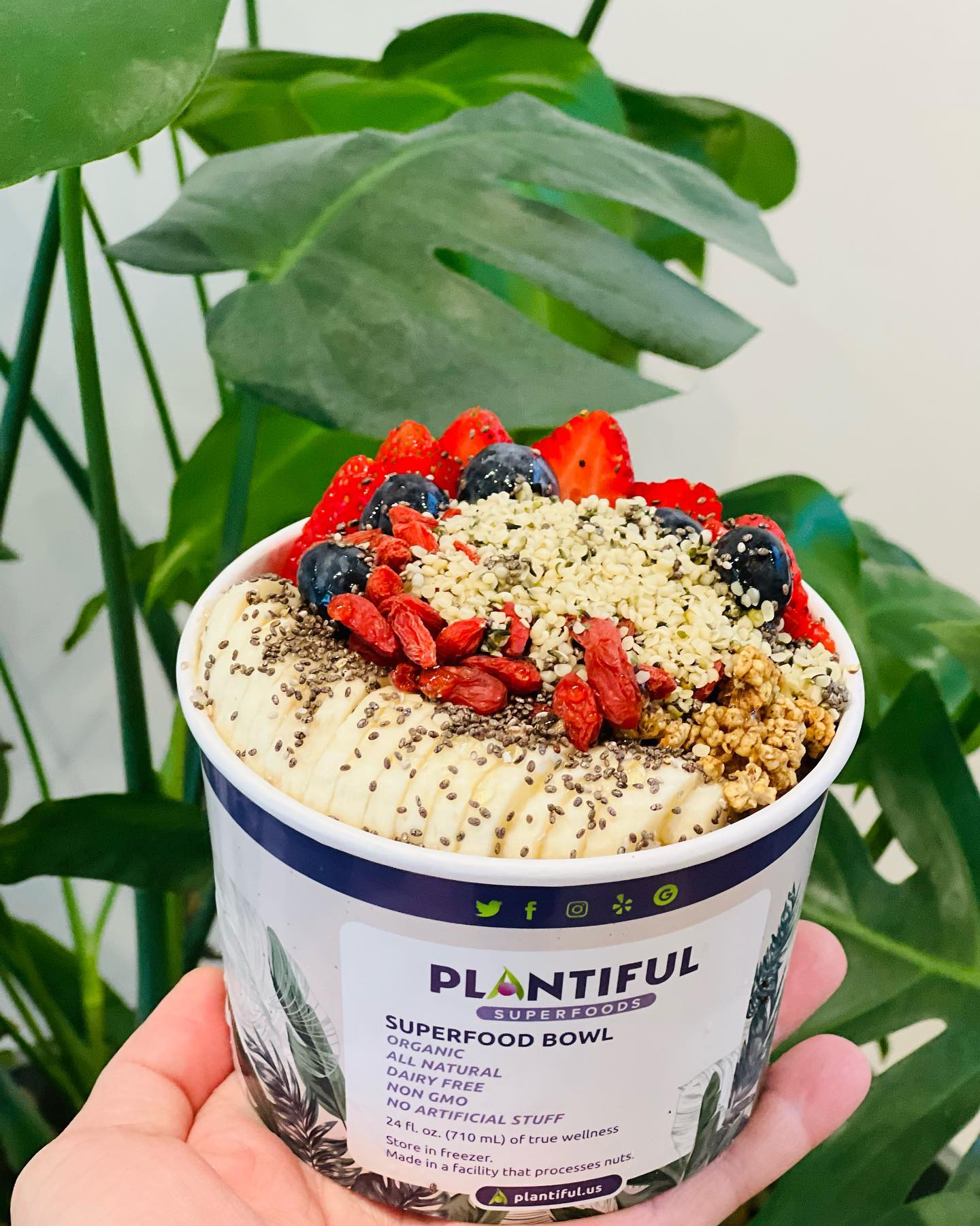 Plantiful Superfoods
