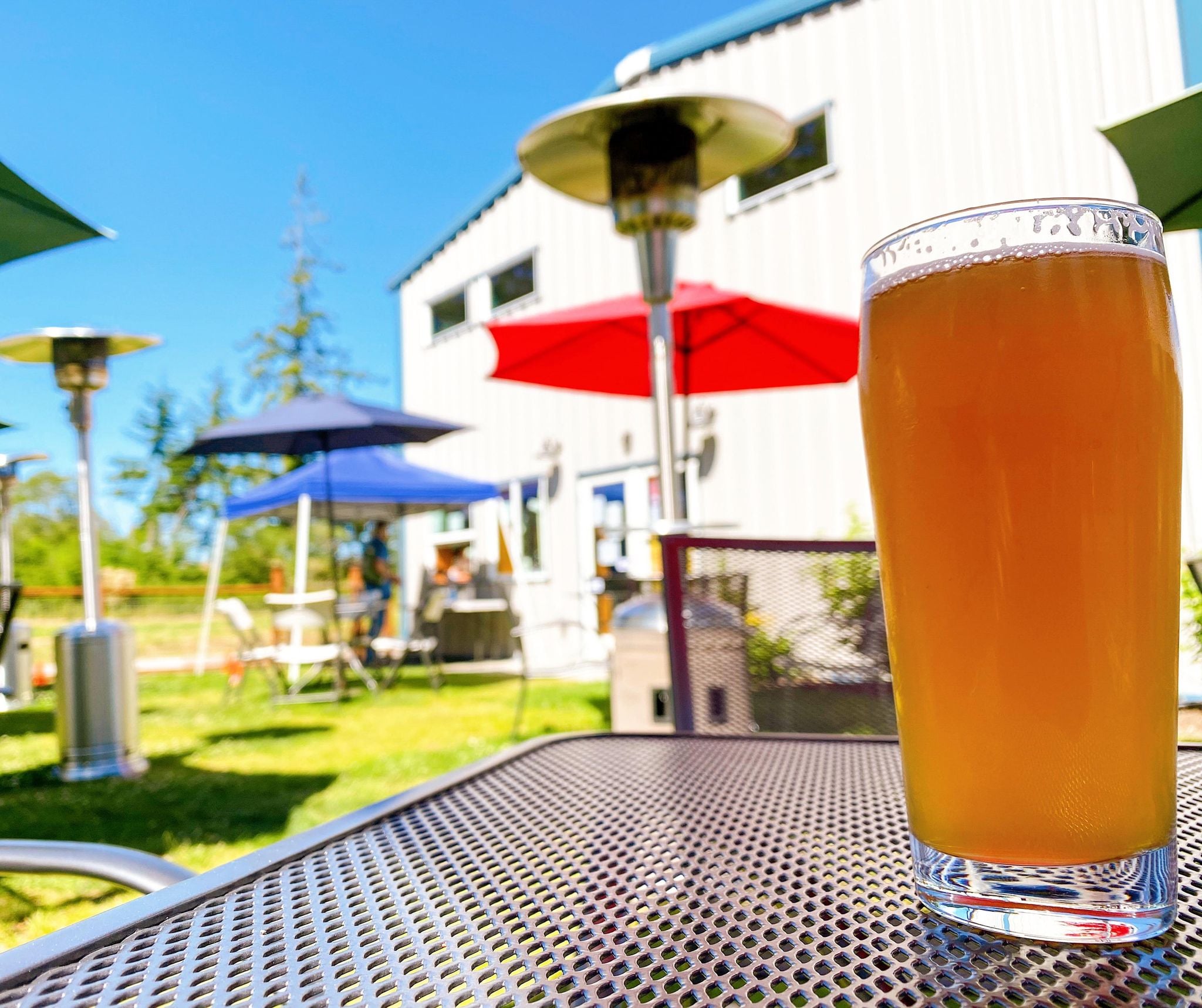 Discovery Bay Brewing