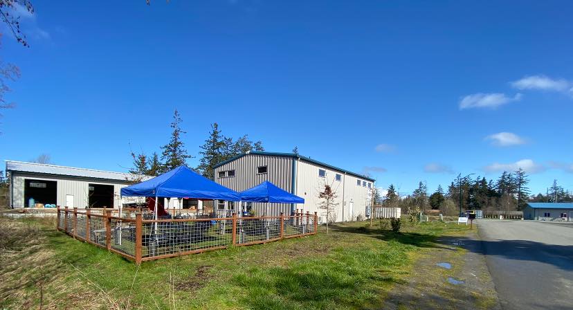 Discovery Bay Brewing