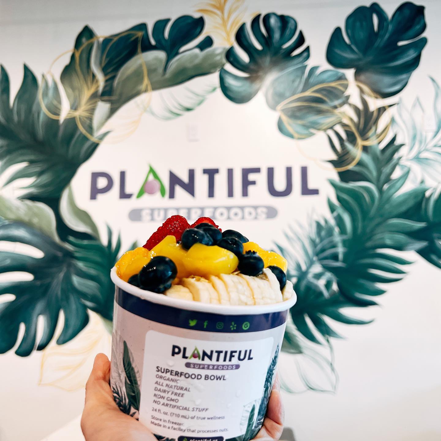 Plantiful Superfoods - Kirkland