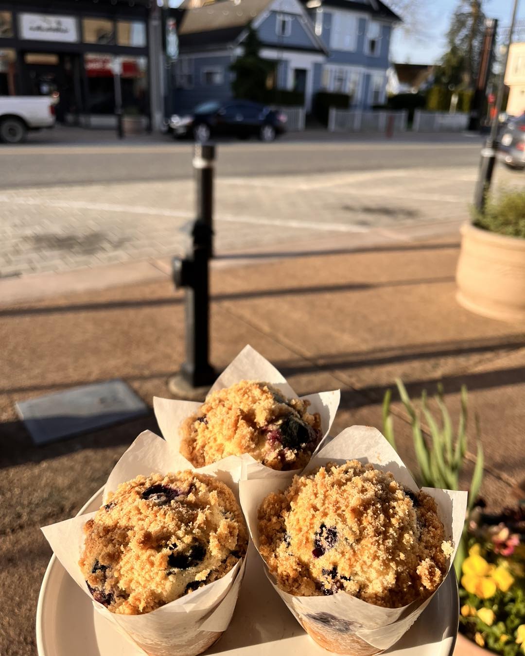 Sky River Bakery