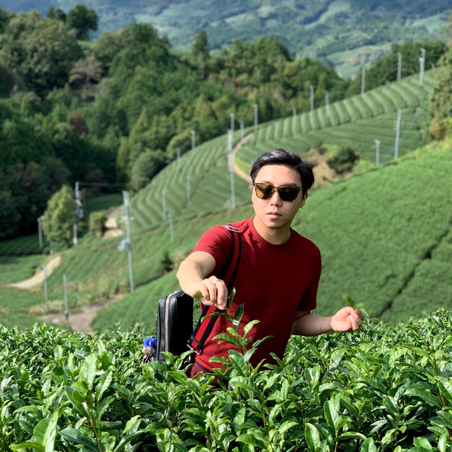 Jardin Tea