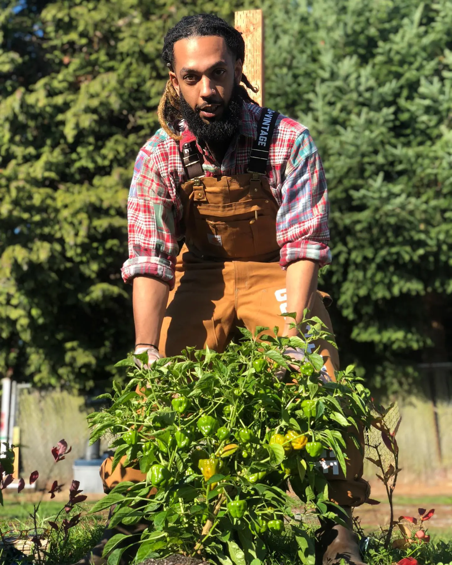 Herban Farm NW owner Ras farming