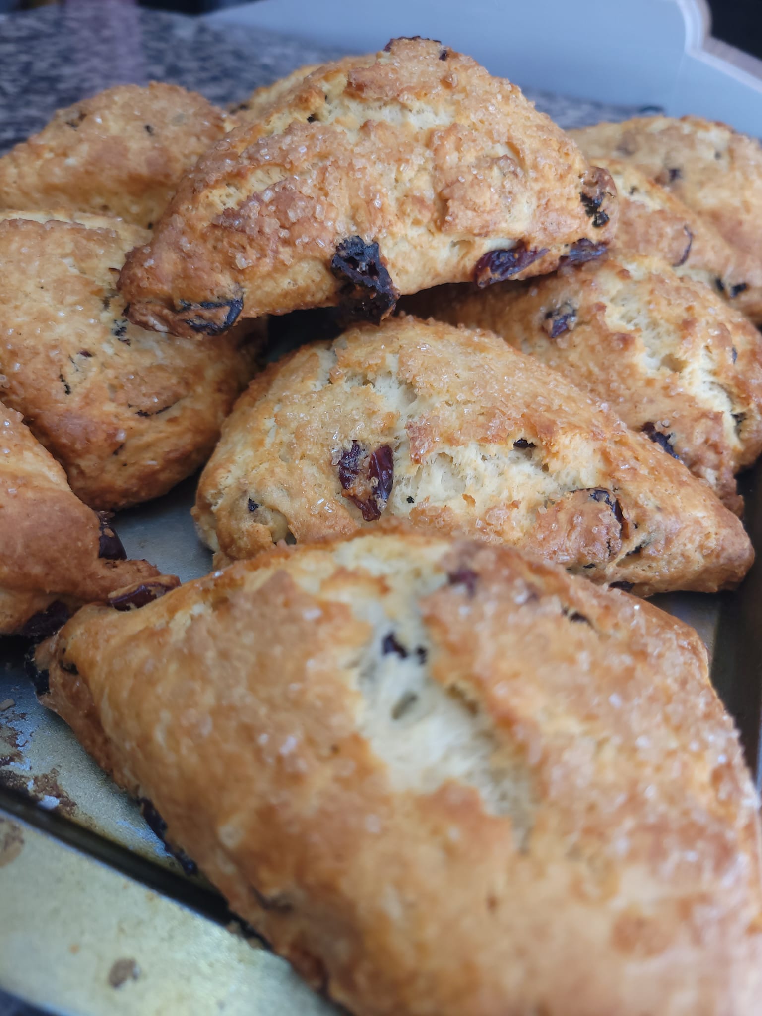moon village bakery scones