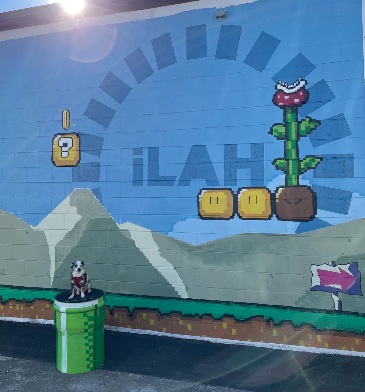 Ilah Cibis Jewelry Mario mural