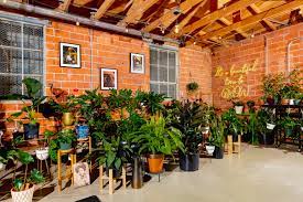 Blk Girls Green House inside